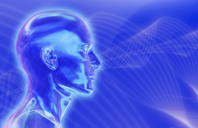 Slow Cortical Potentials