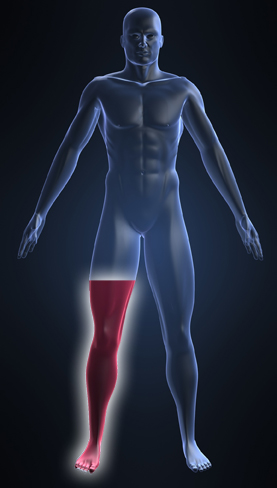 Phantom Limb Pain