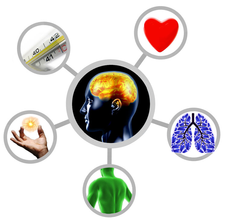 BIOFEEDBACK THAT COMPLEMENTS DR. SWINGLE'S EEG METHOD WEBINAR RE